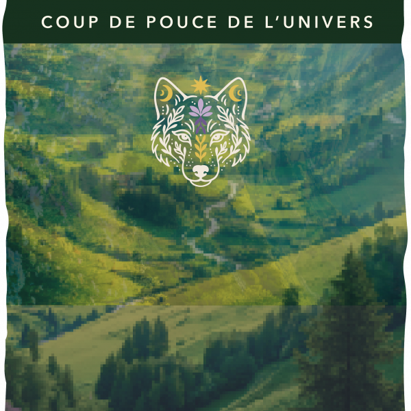 Coup de pouce de l’univers